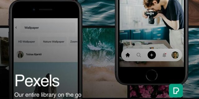 Pexels — search results grid of free stock photos