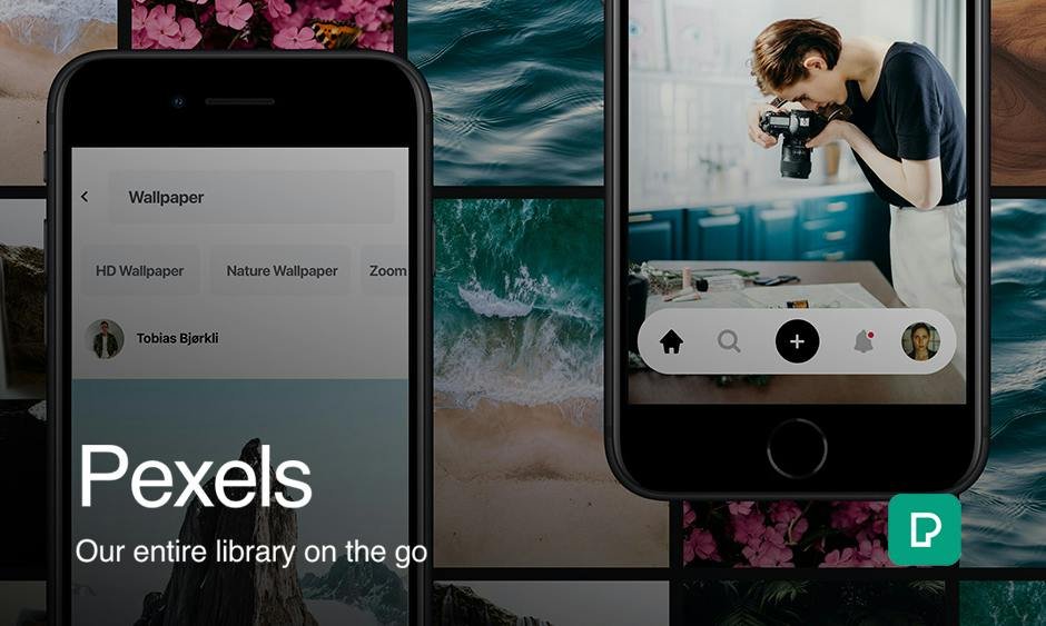 Pexels — search results grid of free stock photos