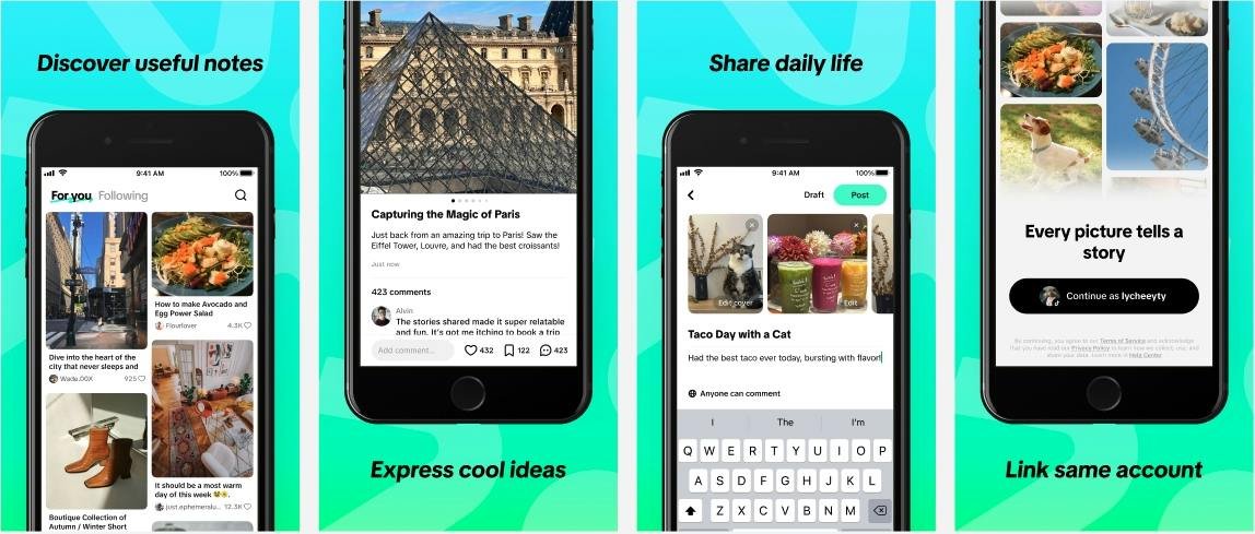 TikTok — live video and comments view
