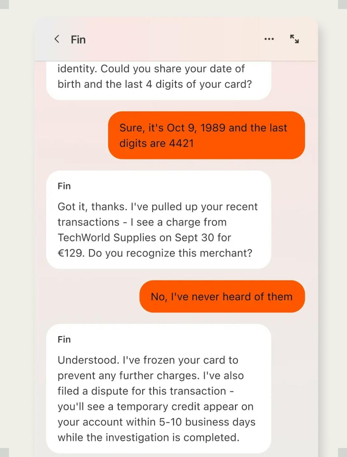 Fin — customer agent conversation view