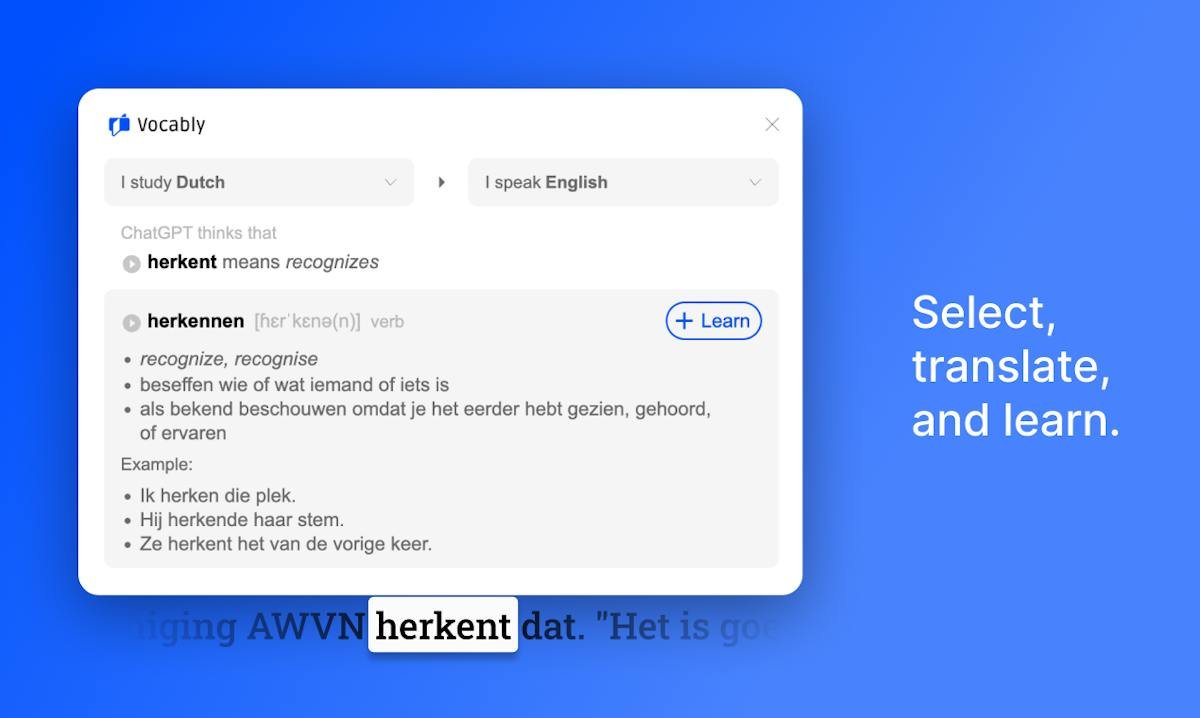 Vocably — AI dictionary and flashcard view