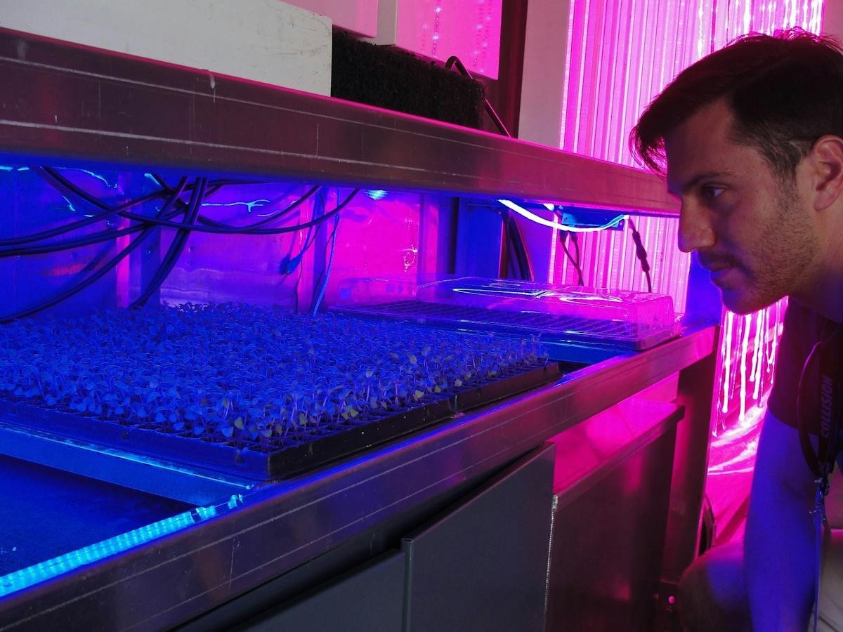 Wefunder — startup investment listing view