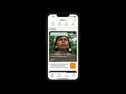 Wingtap — nonprofit project discovery view