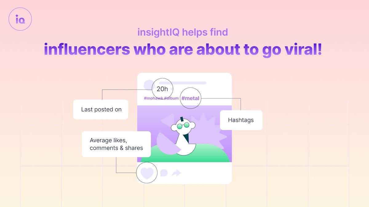 insightIQ — creator discovery and campaign analytics dashboard