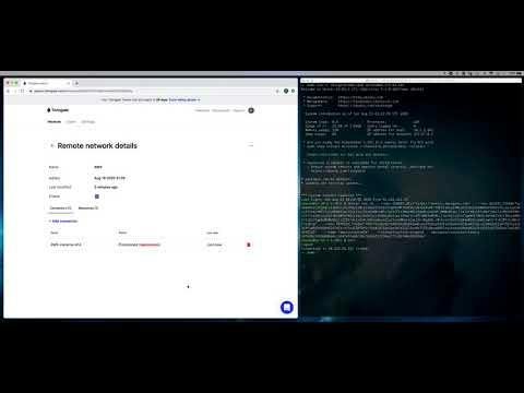 Twingate — zero-trust access dashboard